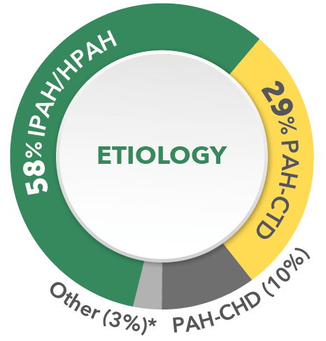 Etiology: idiopathic or heritable PAH (58%), PAH-CTD (29%), PAH-CHD (10%), other (3%)